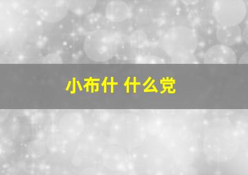 小布什 什么党